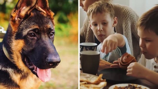 Un Bébé Arrache Soudainement L'os Du Chien. Vous Ne Croirez Pas Ce Qu'il A Fait Ensuite !