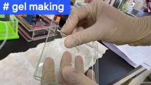 [효린세스X생화실조교] How to SDS-PAGE | principle→making→GE→coomassie staining | vs native protein gel