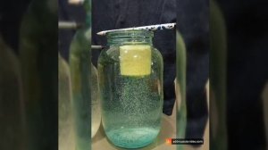 технопланктон. Тамбовская область.