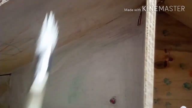 Компот из ягод.Яблочное варенье.Красим домик.11.12.17