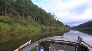 На Чепцу!  За окунем!