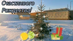 Накануне Рождества 🎄наши поздравления 🍾🧚♀️