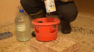Вакцинация голубей. ВСЕ "ЗА" и "ПРОТИВ"
