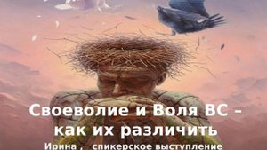 Своеволие и воля ВС- как их различить. 27.06.2024