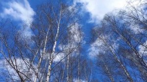 Весна. Апрель. 03. 04. 2024