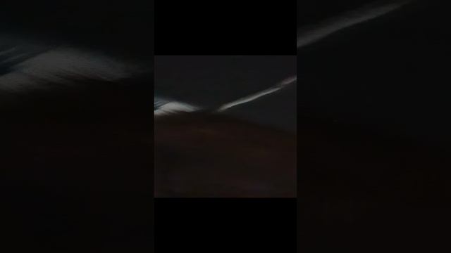 Зимнее кардио