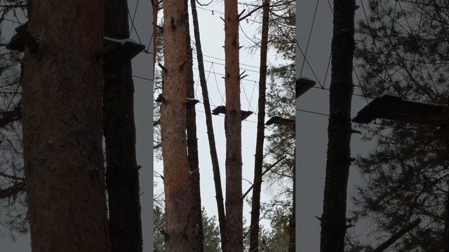 Зимний активный отдых в Ижевске