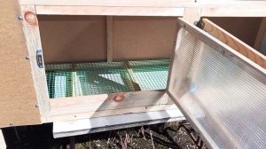 Брудер своими руками