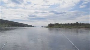 Очередная рыбалка 11.06.23г