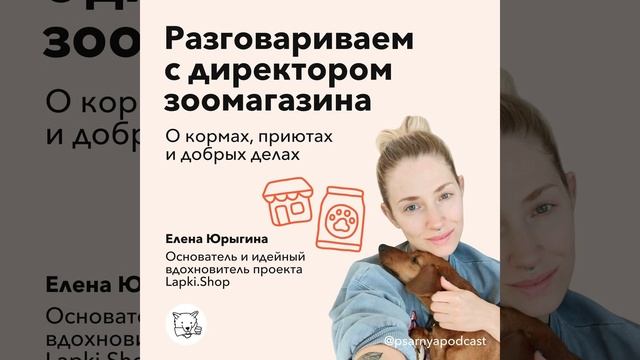 Разговариваем с директором зоомагазина о кормах, приютах и добрых делах