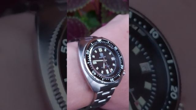 Часы Капитана Уиллард, хомаж на легендарные Seiko #наручныечасы #обзорчасов #steeldive #часы