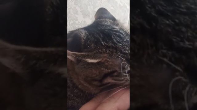 9 декабря 2023 г. смотреть онлайн