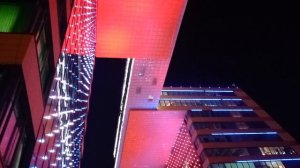 06.12.2021 Гуси-академпарк