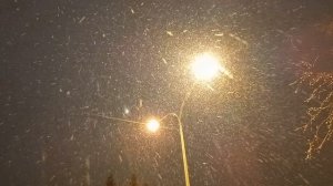 03.12.2021 Ватный снег. Академгородок, проспект Лаврентьева