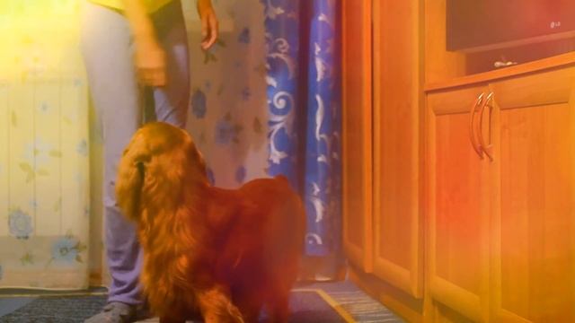 Видео-урок по команде Бэк