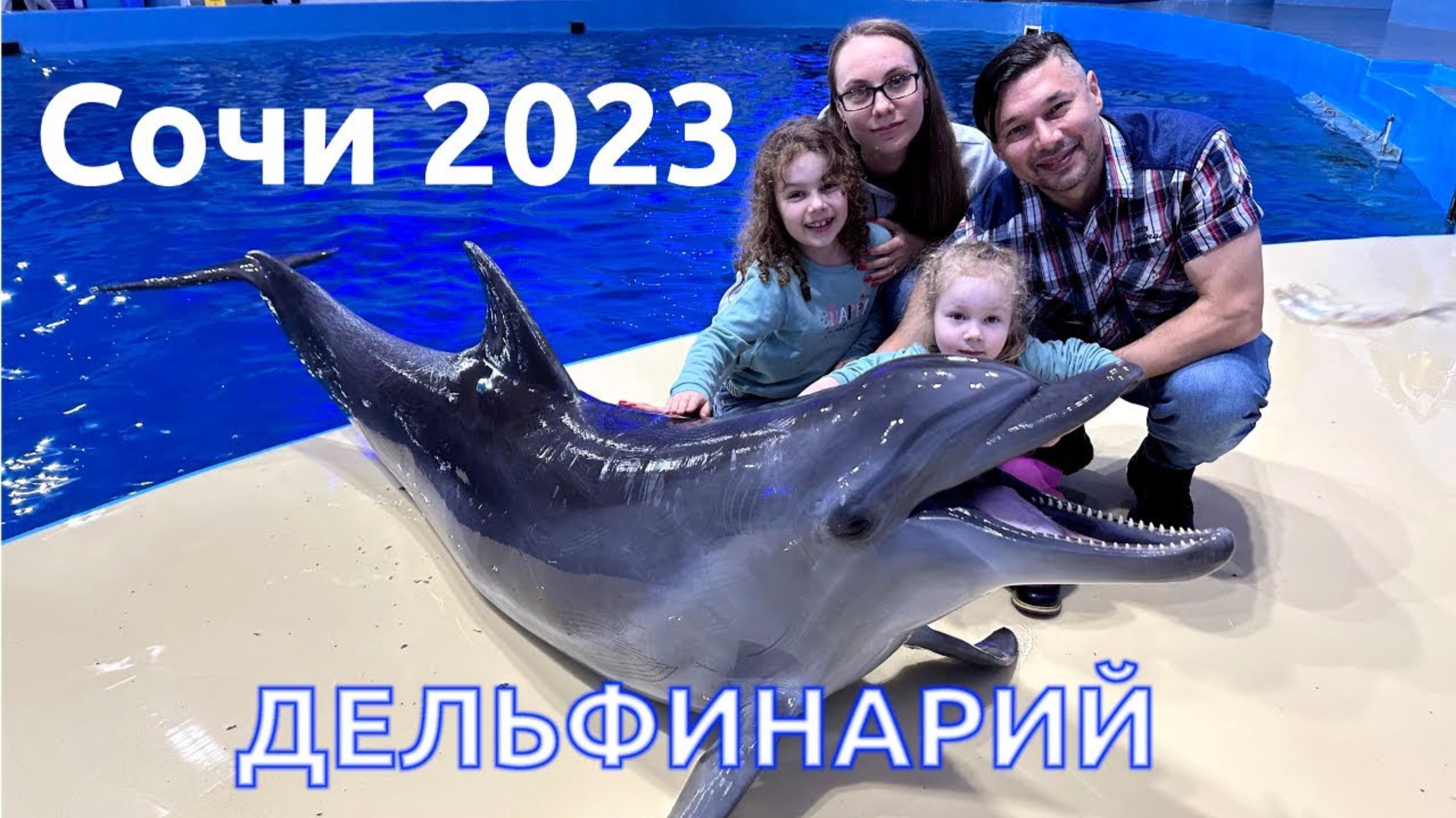 Сочи 2023: дельфинарий. смотреть онлайн