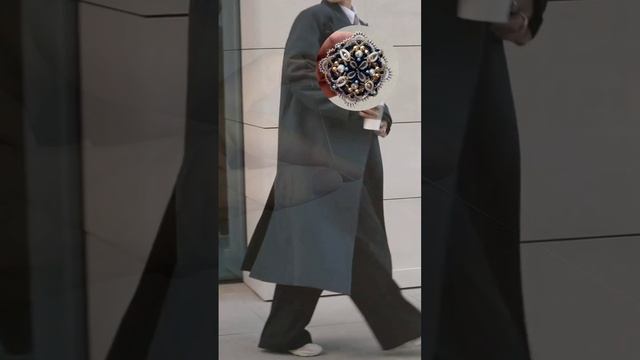 Брошь и пальто