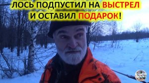 Охота на лося. Загонная охота на лося зимой.
