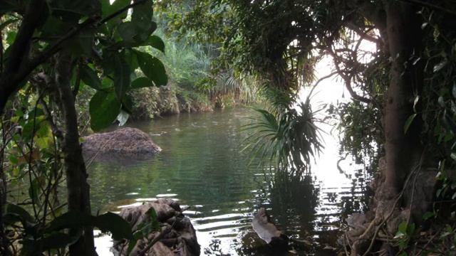 В Приморье Индийском. On the sealand of India смотреть онлайн