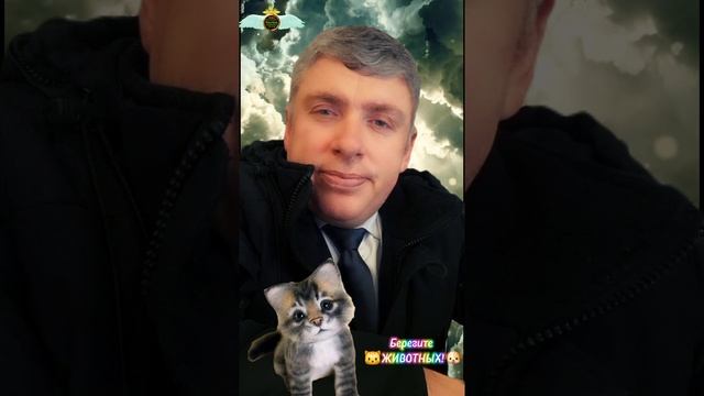 🐈 У кошек тоже есть душа. Комиссаров Эдуард Михайлович - Цитаты про кошек