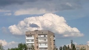 Шляпка для дома-модника. Подсмотрено у природы.