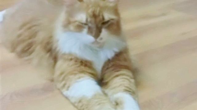 Песня Demons смотреть онлайн