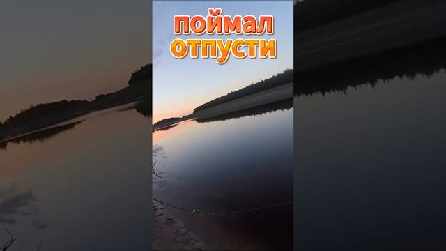 Рыбалка. #река #клев #озеро #рыбалка #обь #отдых #хищник #дикие #иртыш #shorts