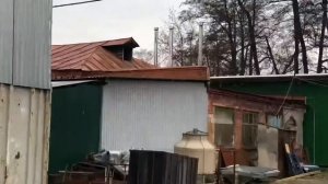 Котлы работают на Пеллету из Лузги Подсолнечника