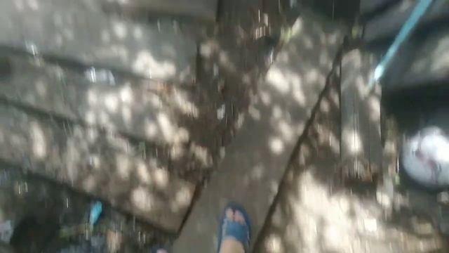 рецепт омлета предков смотреть онлайн