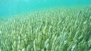 ОЗЕРО ИНГОЛЬ