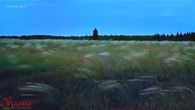 Ансамбль Калина. Казачья. Russian folk song