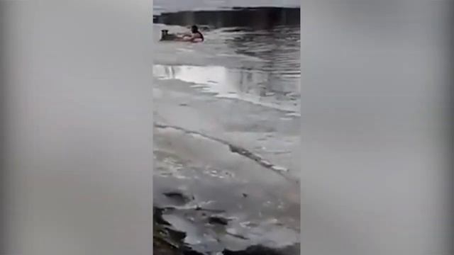 Спас собаку в Самарской области смотреть онлайн