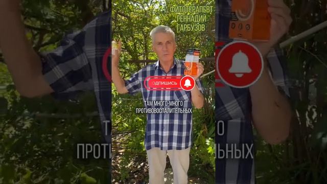 А вы знали, что куркума не лечит?#фитотерапевт #гарбузов #здоровье #лайфхак #куркумин #куркума