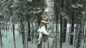 База отдыха  Клип