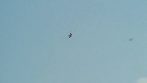 Tri.mushketera.1973.RUS.BDRip.XviD.AC3.-HQCLUB