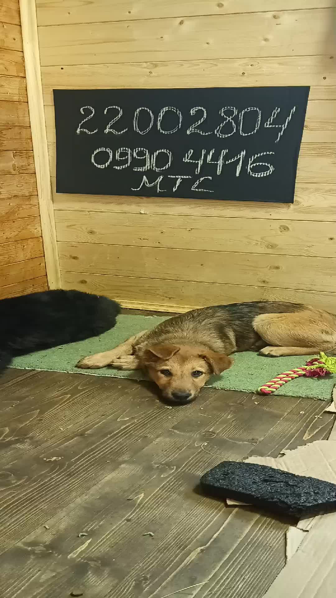 На корм