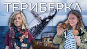 Териберка полный обзор | Киты и Тундра | как добраться, что смотреть, цены, погода, лето 2020