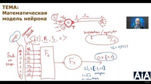 15. Математическая модель нейрона