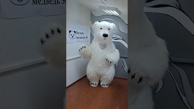 Какие костюмы мы сшили в 2024 году