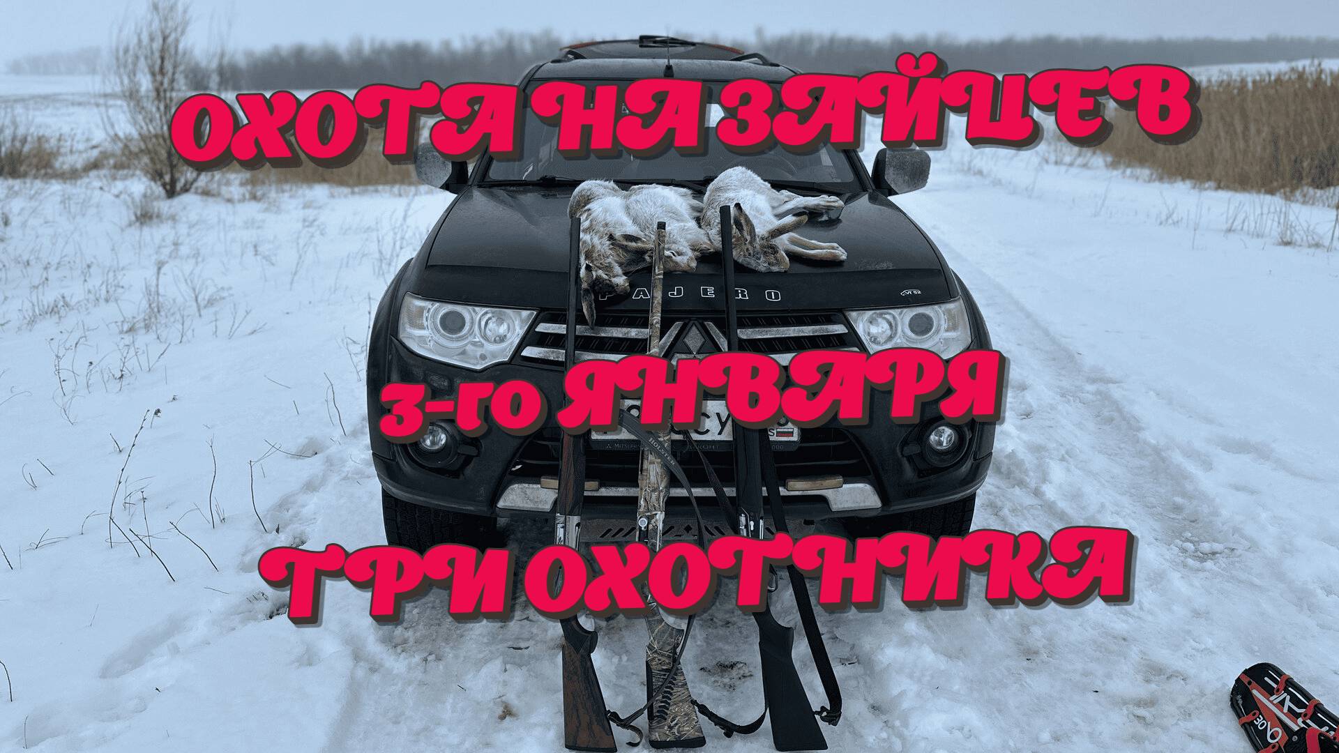 ЗАЙЦЫ 2025!!! ОХОТА НА ЗАЙЦЕВ. смотреть онлайн