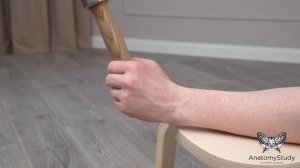 Упражнения для укрепления кисти и предплечья