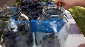 Виноград консервированный на зиму#Canned grapes for the winter🍇🍇🍇