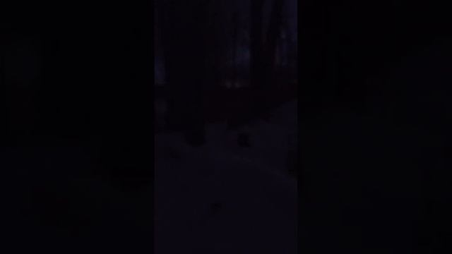 В лесу на новый год! #shorts #short