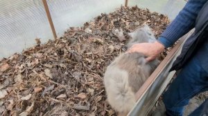 Как превратить листья в компост - Юрий Днестрянский (часть 2)