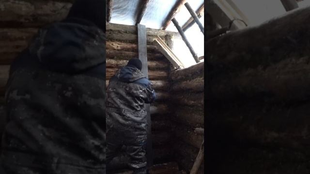 Кто не работает тот есть кору! #shorts #short