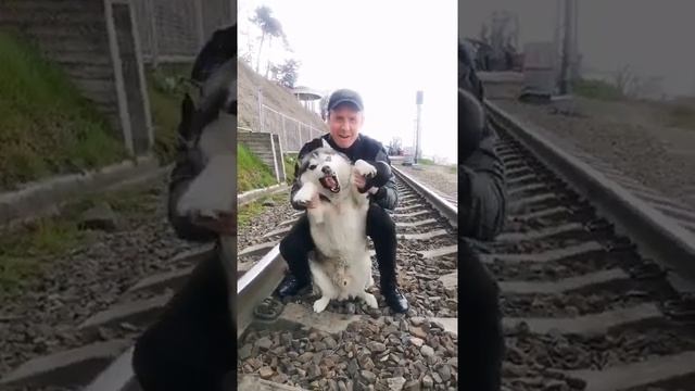 Вот он настоящий пельмень 