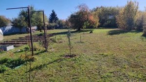 Осенние дела в Огороде. Купили плодовые деревья. Шпалеры своими руками