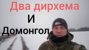 дирхемы и домонгол