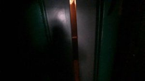 Full обзор старого лифта ЩЛЗ 1999 г.в.