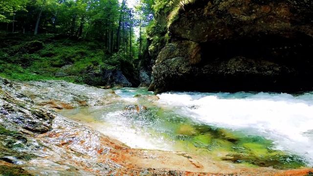 Семья Колесниковых/Новости из Дворца.